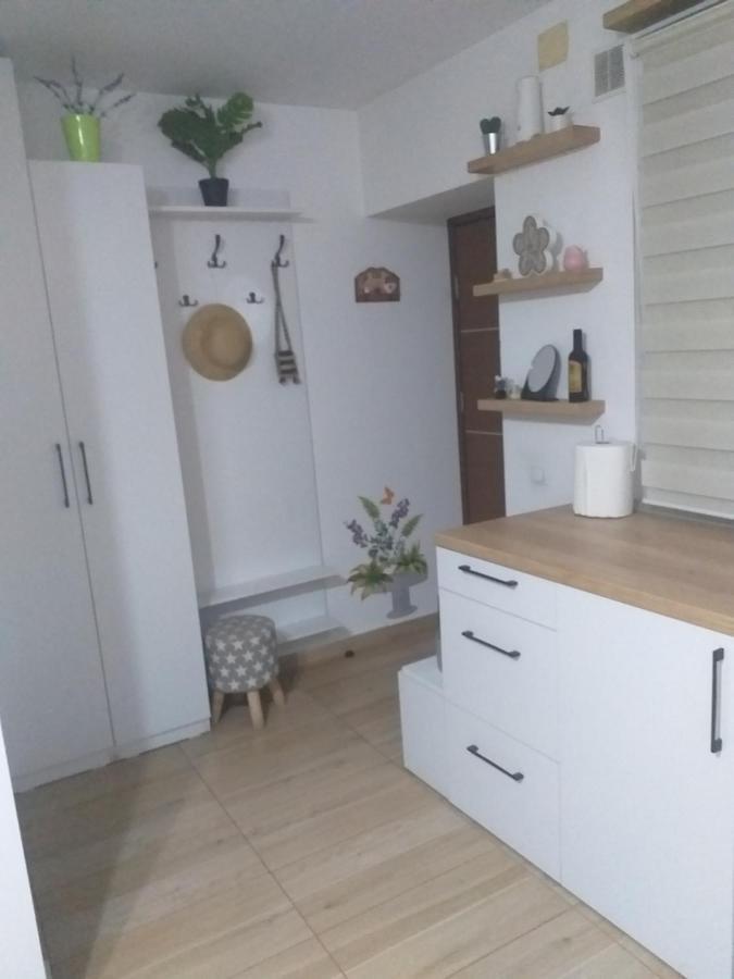 Fully Furnished Studio Syhot Marmaroski Zewnętrze zdjęcie
